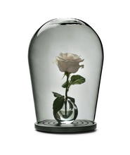 Load image into Gallery viewer, Bell Jar - Maximilian Jencquel